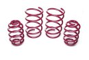 Vogtland sport springs FA 40 / RA 40 mm