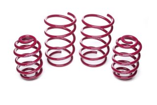 Vogtland sport springs FA 45 / RA 25 mm