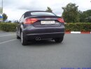 FMS Gruppe A Anlage Edelstahl Audi A3 Cabrio Frontantrieb (8P,ab 08) 1.9TDI 77kW